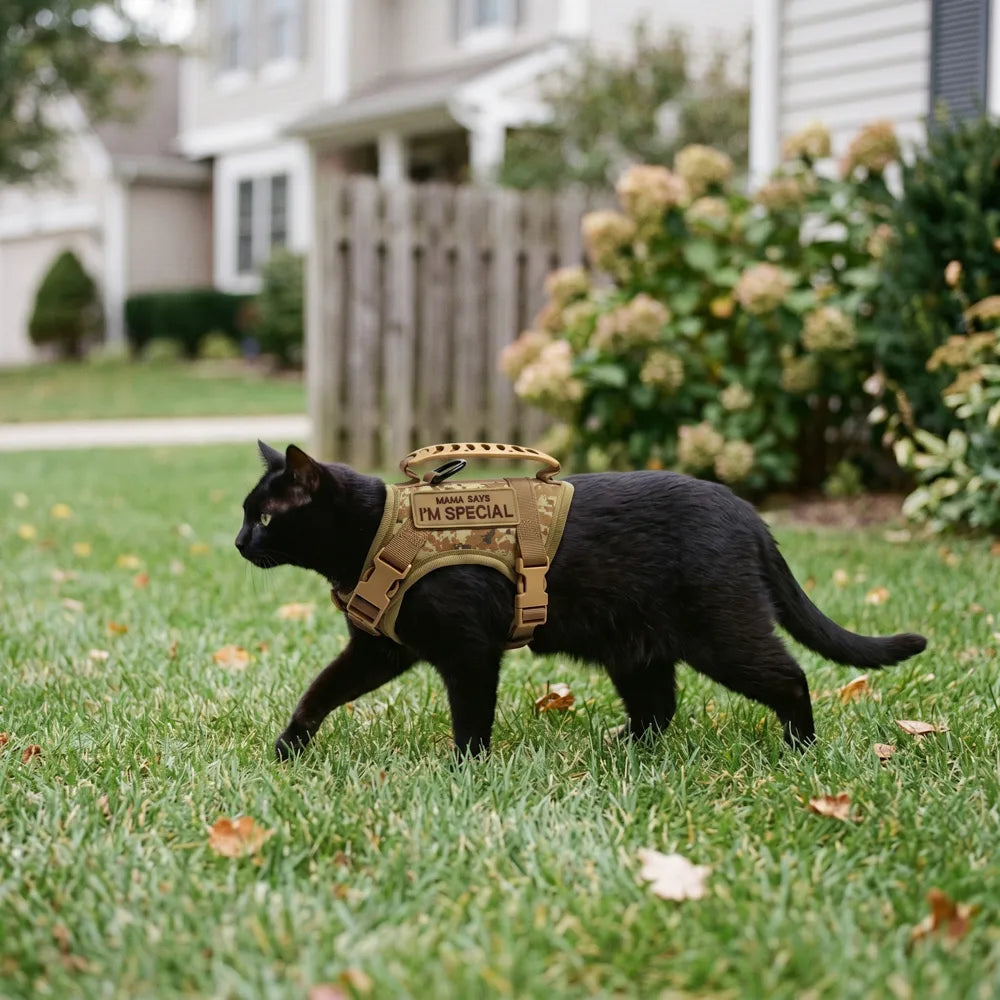 Escape-Proof Tactical Cat Harness and Leash Set