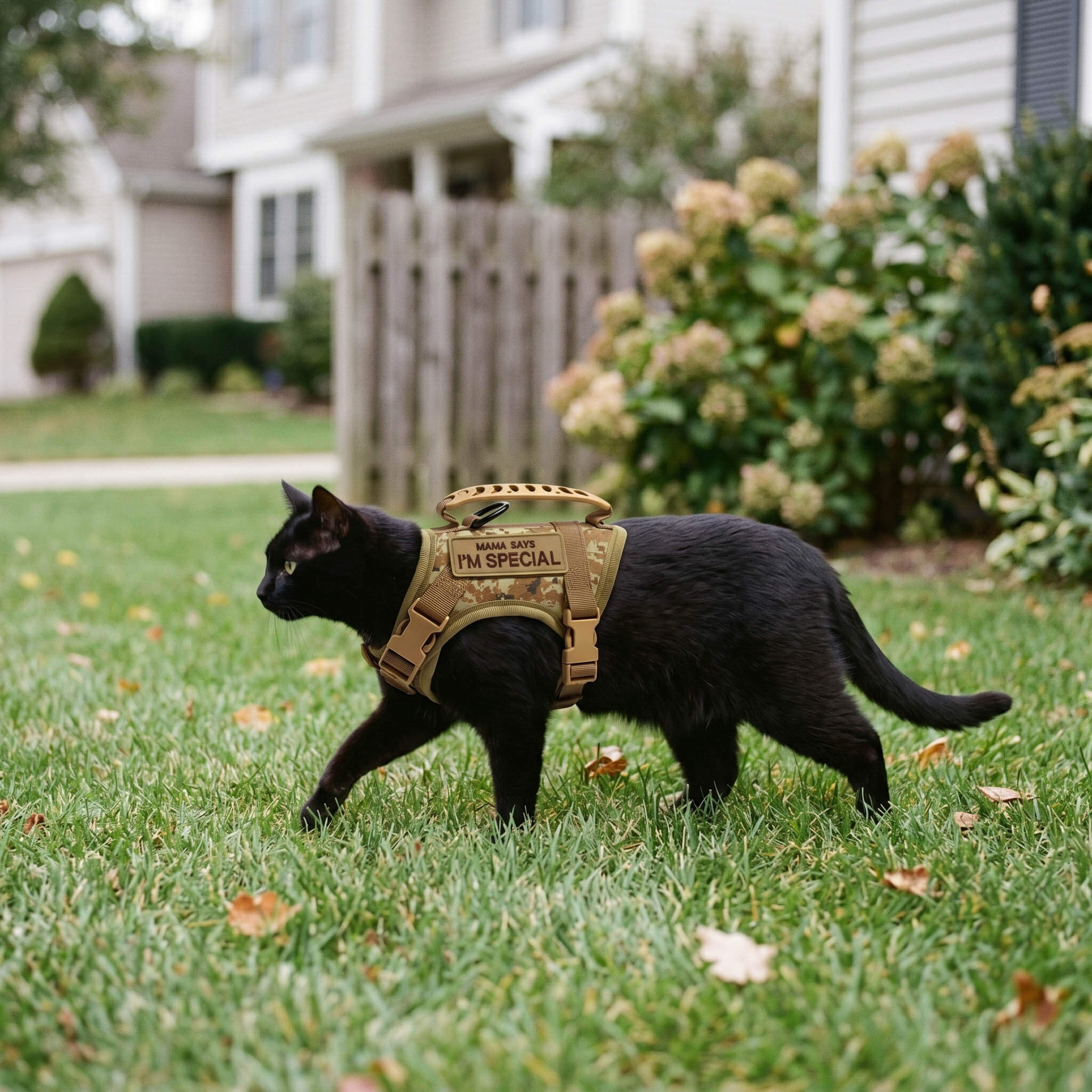 Escape-Proof Tactical Cat Harness and Leash Set