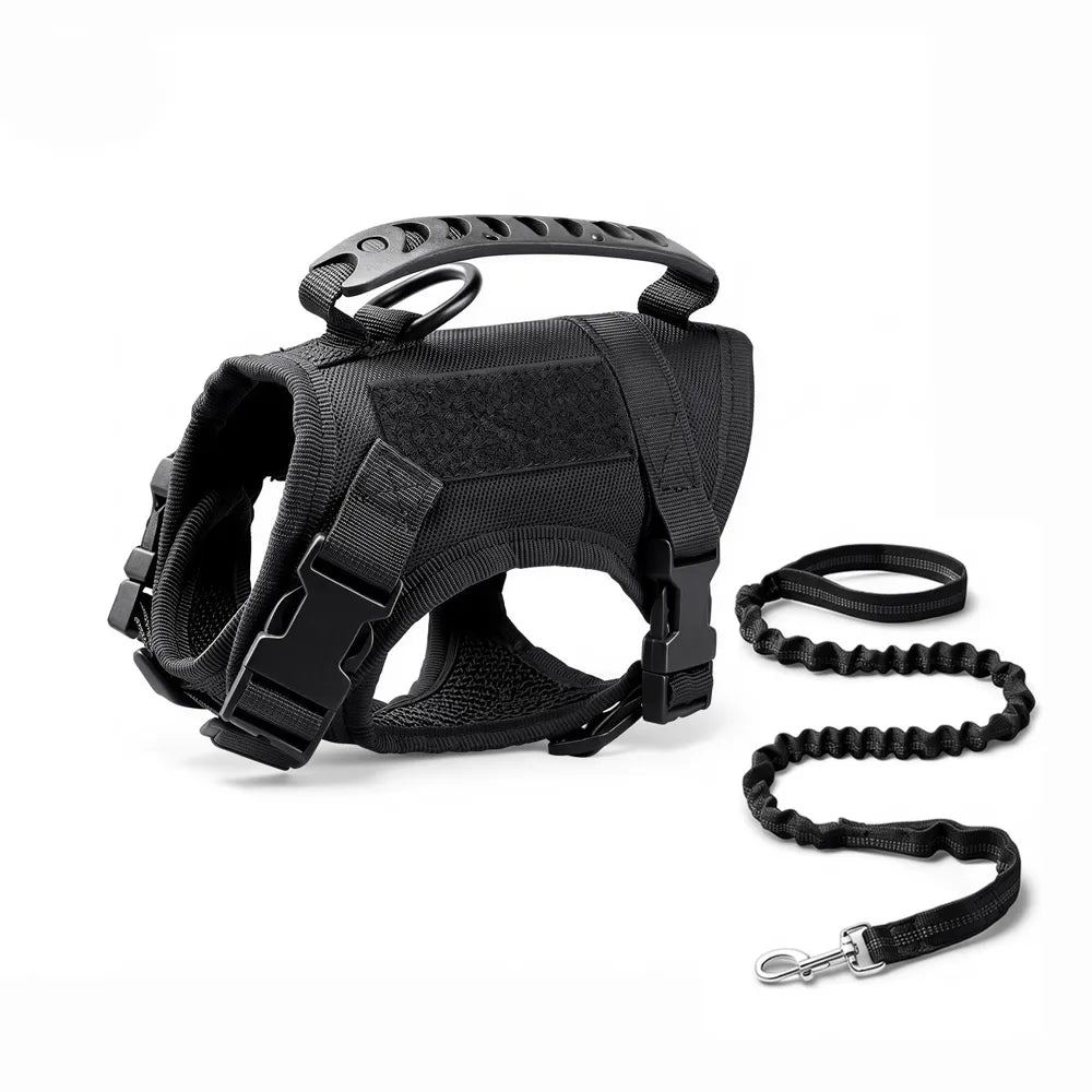 Escape-Proof Tactical Cat Harness and Leash Set