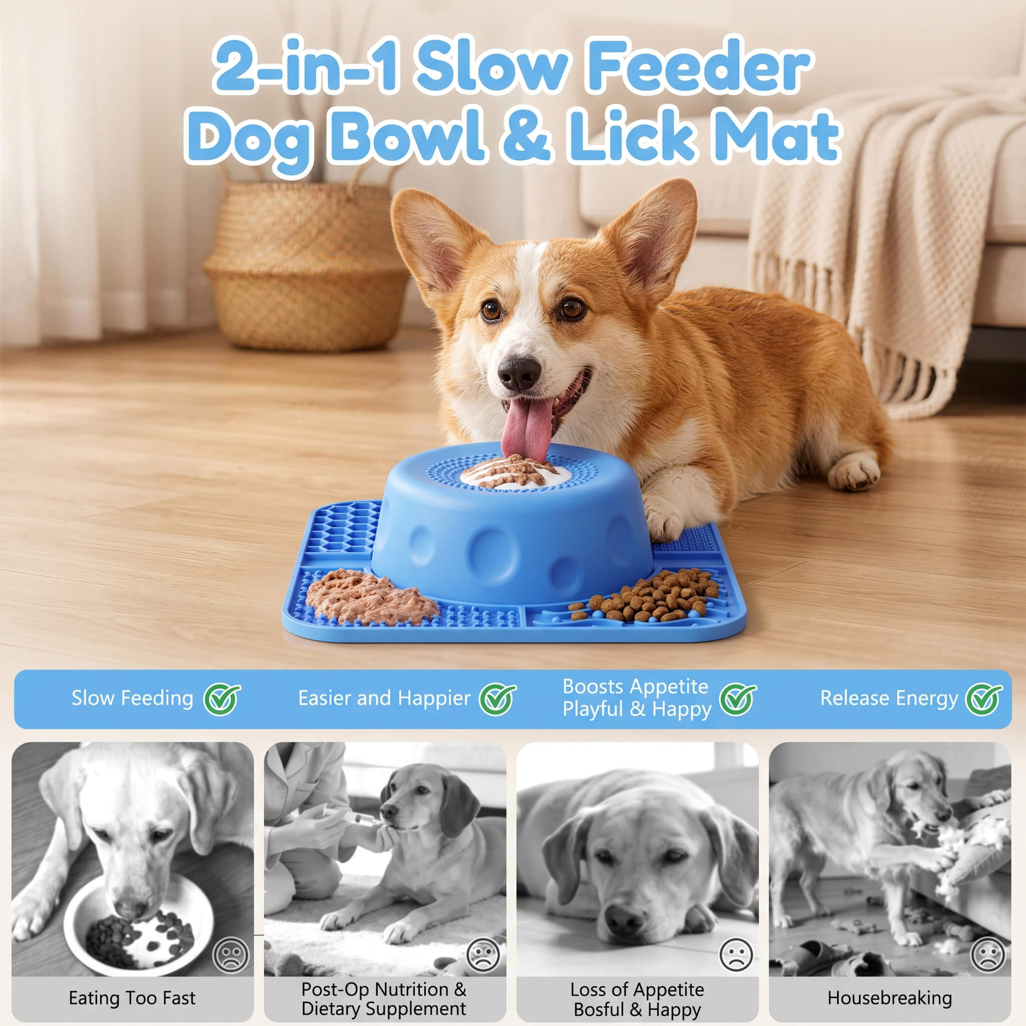 Anxiety-Relief Pet Lick Mat and Slow Feeder Bowl