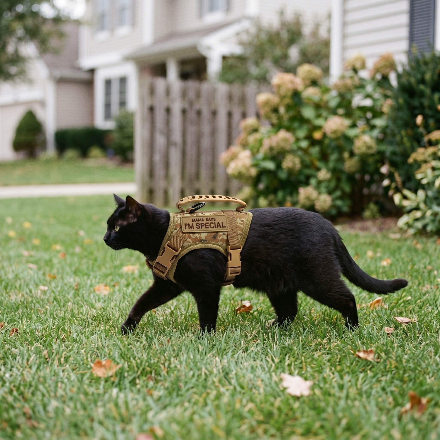 Escape-Proof Tactical Cat Harness and Leash Set