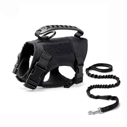 Escape-Proof Tactical Cat Harness and Leash Set